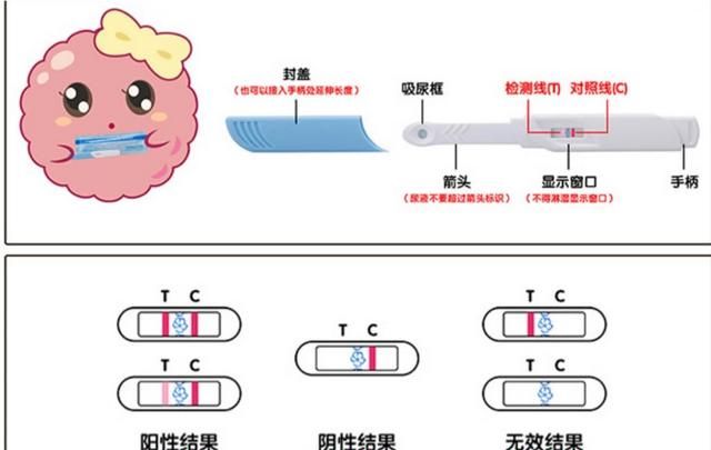 早早孕2条杠是怀孕吗图2